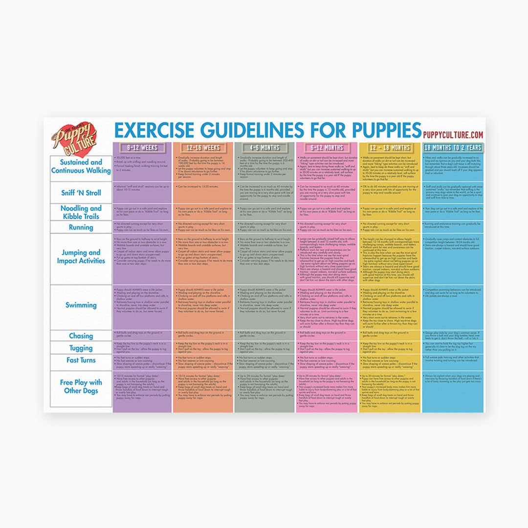 Puppy Culture Age Appropriate Exercise Poster