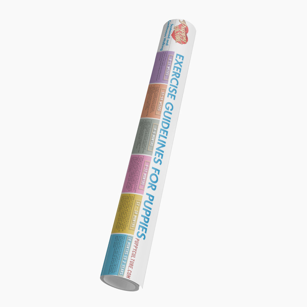 Puppy Culture Age Appropriate Exercise Poster