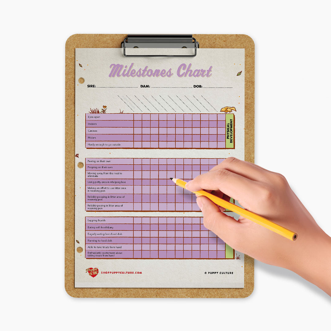 Chart and Worksheet Refill Sheet for Puppy Culture Workbook