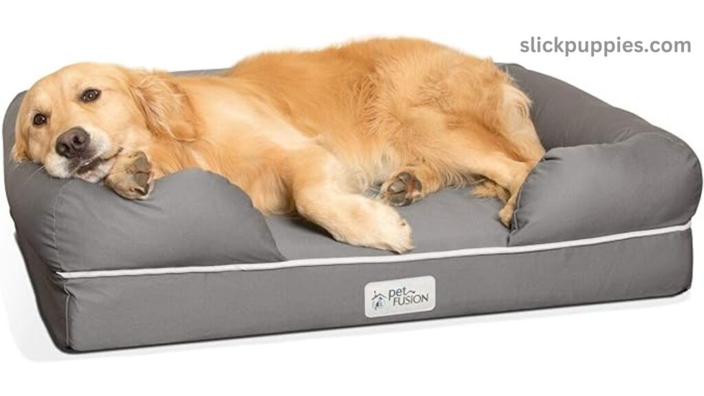 Best Dog Bed for My Pet