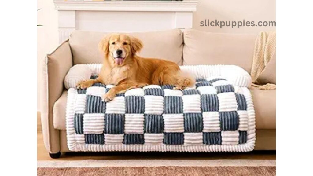 Best Dog Bed for My Pet